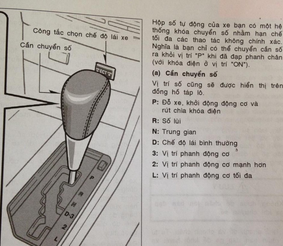 Cách Lái Xe Số Tự Động Đúng Kỹ Thuật, An Toàn Và Dễ Nhớ Cho Người Mới Bắt Đầu