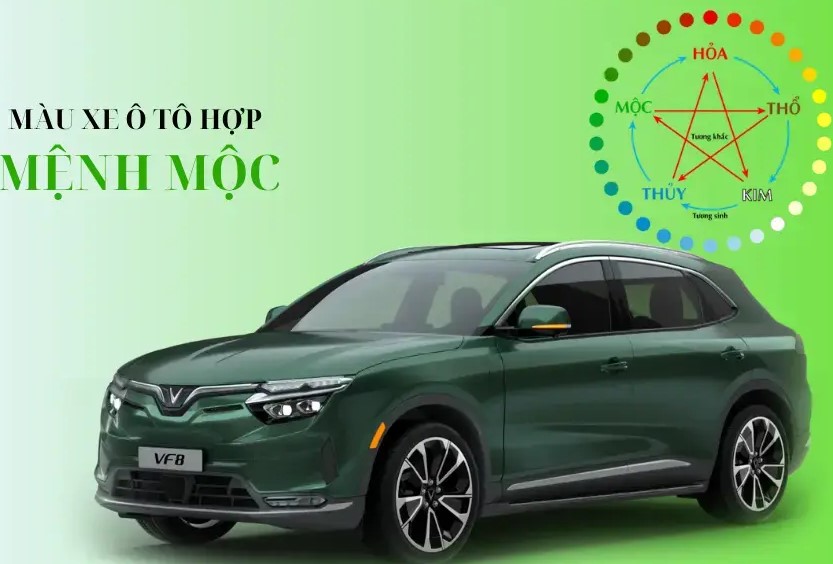 Mệnh Mộc Hợp Xe Màu Gì Để Thu Hút Tài Lộc, Đi Lại An Toàn Và Gặp Nhiều May Mắn?