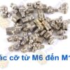 10 Cái – Vú Bơm Mỡ Bò Các Loại M6, M8, M10, M12, M13, M14 (Loại Tốt)