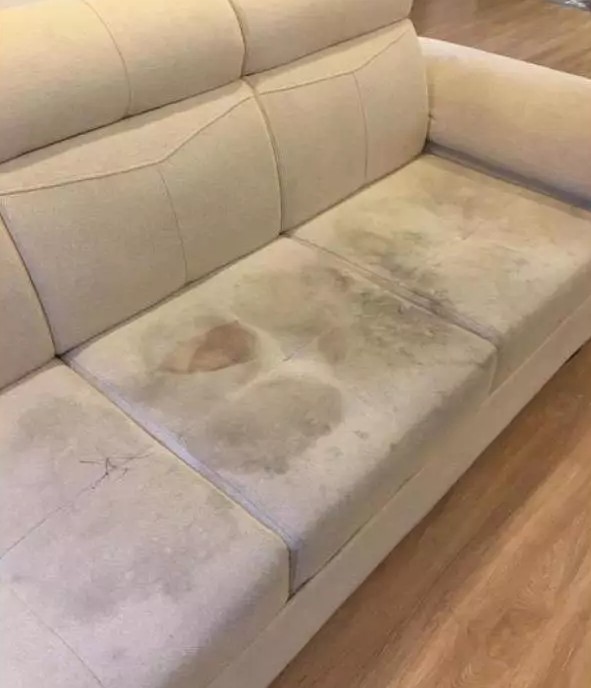 Chai xịt tẩy ghế sofa da, nỉ CAVAR – Vệ sinh nội thất ô tô, trần nỉ, taplo, da, nỉ, nhựa – Foam Cleaner
