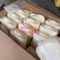 Mô Hình Xe Hơi Trưng Bày – Dùng Thử Màu Sơn & Dán Decal, Mẫu Chuẩn Cho Gara và Cửa Hàng