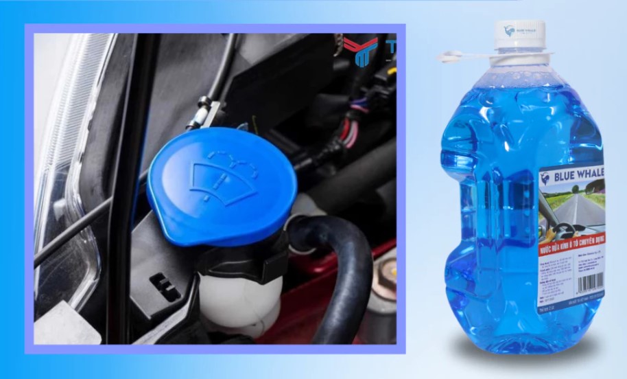 Nước Rửa Kính Ô Tô BlueWhale Đổ Trực Tiếp, Làm Sạch Sâu, Hiệu Ứng Lá Sen Chống Bám Nước