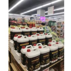 Nước Rửa Xe Bọt Tuyết Cho Ô Tô & Xe Máy Chuyên Dụng Car Shampoo 5L