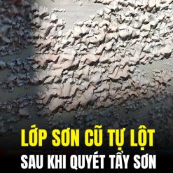 Tẩy Sơn Tia Chớp Siêu Mạnh Siêu Nhanh Dùng Để Tẩy Sơn Cho Kim Loại, Kính