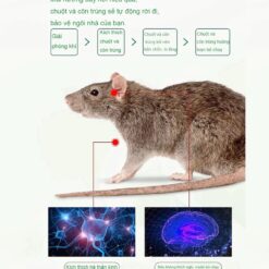 Viên Xua Đuổi Chuột Siêu Mạnh – Chống Chuột Cắn Dây Điện Cho Khoang Máy Ô Tô