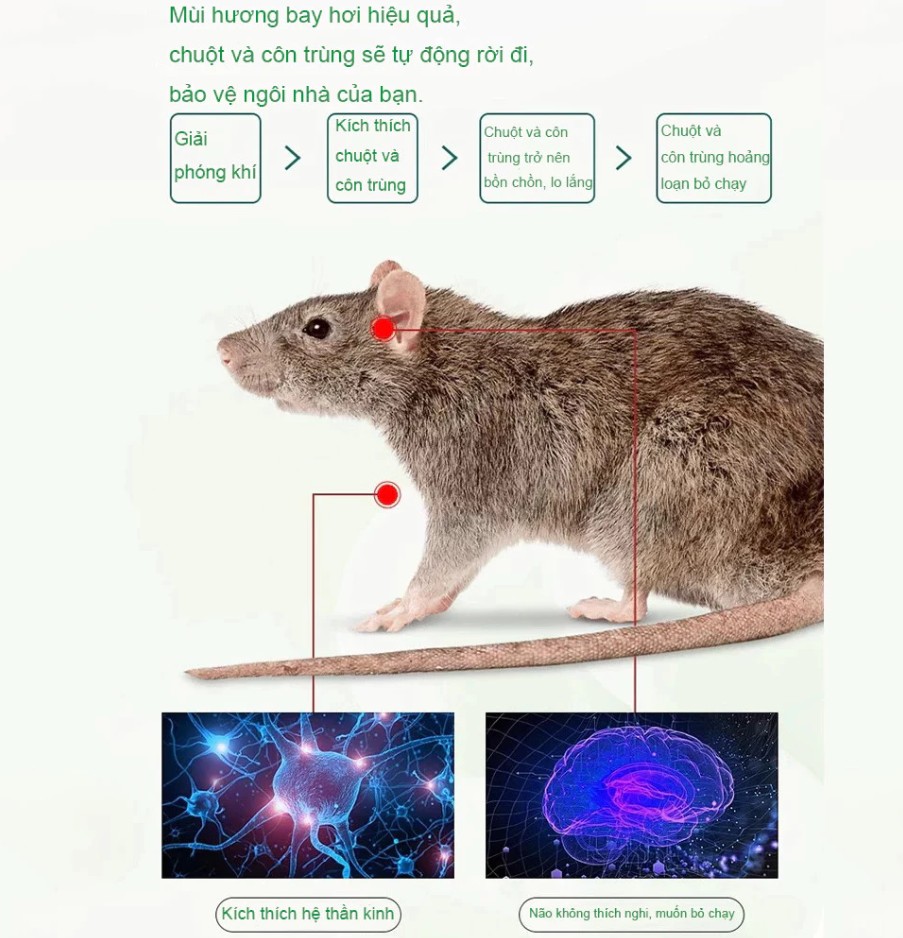 Viên Xua Đuổi Chuột Siêu Mạnh – Chống Chuột Cắn Dây Điện Cho Khoang Máy Ô Tô