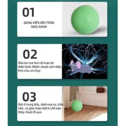 Viên Xua Đuổi Chuột Siêu Mạnh – Chống Chuột Cắn Dây Điện Cho Khoang Máy Ô Tô