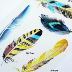 Decal Che Vết Xước Hình Cánh Chim, Bộ Lông Vũ Cho Ô Tô, Xe Tải, Xe Khách