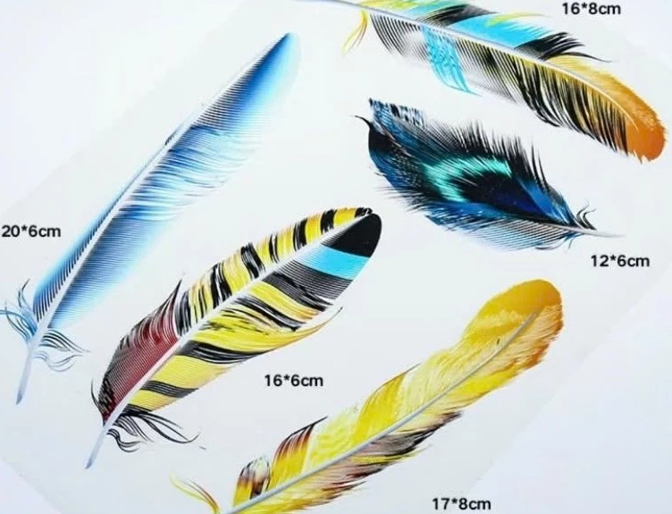 Decal Che Vết Xước Hình Cánh Chim, Bộ Lông Vũ Cho Ô Tô, Xe Tải, Xe Khách