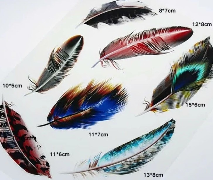 Decal Che Vết Xước Hình Cánh Chim, Bộ Lông Vũ Cho Ô Tô, Xe Tải, Xe Khách