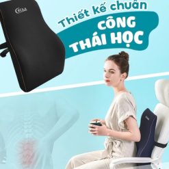 Gối Tựa Lưng Cao Su Non Cao Cấp CECILA Cho Dân Văn Phòng & Lái Xe Chuẩn Công Thái Học