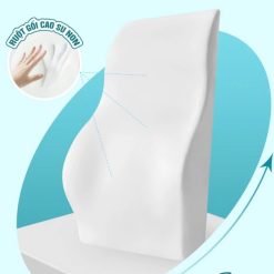 Gối Tựa Lưng Cao Su Non Cao Cấp Cecila Dùng Cho Dân Văn Phòng Và Lái Xe Ô tô Chống Đau Mỏi Lưng