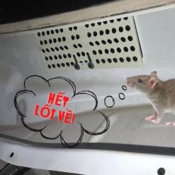 Lưới Chống Chuột Ô Tô Honda CITY 2013 – 2024, Bảo Vệ Khoang Máy, Ngăn Chuột & Côn Trùng