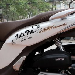 Tem Dán Xe Điện Theo Yêu Cầu, In Tên, Cá Nhân Hóa Cho Xe