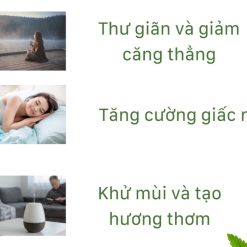 Tinh Dầu Cà Phê Treo Xe, Treo Phòng, Nguyên Chất Tự Nhiên 10ml Khử Mùi, Giảm Say Xe