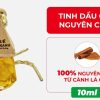 Tinh Dầu Cành Lá Quế Rừng Xanh 10ml, Nguyên Chất 100%, Treo Xe Ô Tô & Treo Phòng