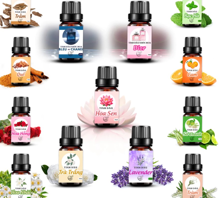 Tinh Dầu Thiên Nhiên Nguyên Chất 10ml, Khử Mùi, Thơm Phòng, Đuổi Muỗi & Giảm Stress