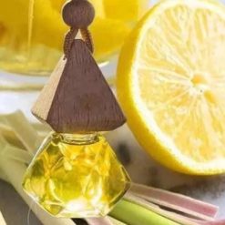 Tinh Dầu Thiên Nhiên Treo Xe Ô Tô, Treo Phòng Nguyên Chất Hương Nhập Khẩu LongVu Auto