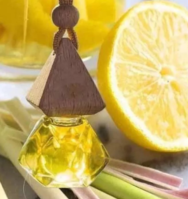 Tinh Dầu Thiên Nhiên Treo Xe Ô Tô, Treo Phòng Nguyên Chất Hương Nhập Khẩu LongVu Auto