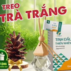 Tinh Dầu Treo Trà Trắng Khử Mùi, Thơm Xe Ô Tô VUATINHDAU 8ml, Làm Sạch Không Khí