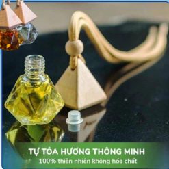 Tinh Dầu Treo Xe Ô Tô Hương Dâu Tây, Dứa Thơm, Hoa Anh Đào, Hoa Bưởi Khử Mùi Xe