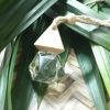 Tinh Dầu Treo Xe Ô Tô Hương Lá Nếp, Thơm Tự Nhiên, Khử Mùi, Thư Giãn