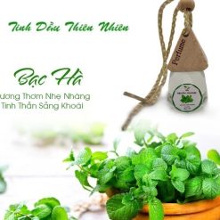 Tinh Dầu Treo Xe Ô Tô Thiên Nhiên Khử Mùi Hiệu Quả Cho Xe Hơi, Phòng Ngủ, Tủ Quần Áo