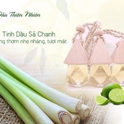Tinh Dầu Treo Xe Ô Tô Thiên Nhiên Khử Mùi Hiệu Quả Cho Xe Hơi, Phòng Ngủ, Tủ Quần Áo