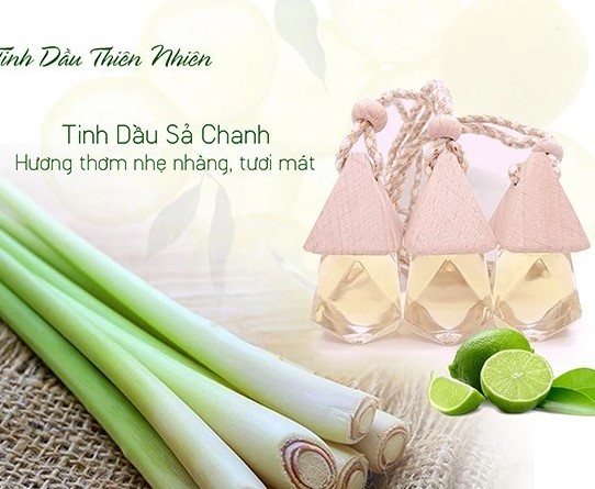 Tinh Dầu Treo Xe Ô Tô Thiên Nhiên Khử Mùi Hiệu Quả Cho Xe Hơi, Phòng Ngủ, Tủ Quần Áo