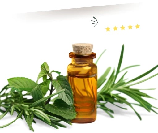 Tinh Dầu Treo Xe Ô Tô Trầm Hương Cao Cấp LT Farm 10ml, Nguyên Chất Thiên Nhiên, Treo Phòng, Tủ Quần Áo