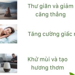 Tinh Dầu Treo Xe Ô Tô Trầm Hương Cao Cấp LT Farm 10ml, Nguyên Chất Thiên Nhiên, Treo Phòng, Tủ Quần Áo