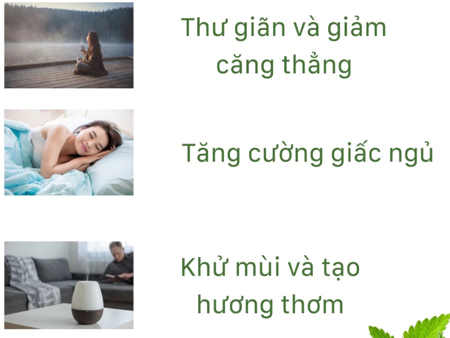 Tinh Dầu Treo Xe Ô Tô Trầm Hương Cao Cấp LT Farm 10ml, Nguyên Chất Thiên Nhiên, Treo Phòng, Tủ Quần Áo