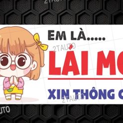 Logo Sticker Dán Xe Lái Mới Xin Thông Cảm Mẫu Nam Nữ Cute Em Là Lái Mới