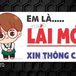 Logo Sticker Dán Xe Lái Mới Xin Thông Cảm Mẫu Nam Nữ Cute Em Là Lái Mới