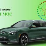 Mệnh Mộc Hợp Xe Màu Gì Để Thu Hút Tài Lộc, Đi Lại An Toàn Và Gặp Nhiều May Mắn?